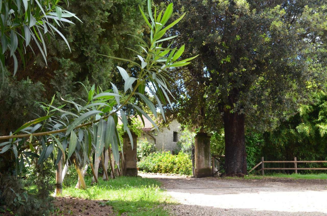 לינה וארוחת בוקר טיבולי Casale Colleoni מראה חיצוני תמונה